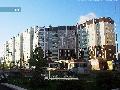 Шарм в Братске